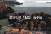 蘑菇视频（近期）值不值