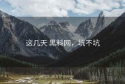 这几天 黑料网，坑不坑