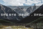 茶杯狐 香不香（简单说明），茶杯狐a