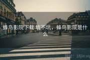 蜂鸟影院下载 坑不坑，蜂鸟影院是什么
