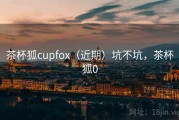 茶杯狐cupfox（近期）坑不坑，茶杯狐0